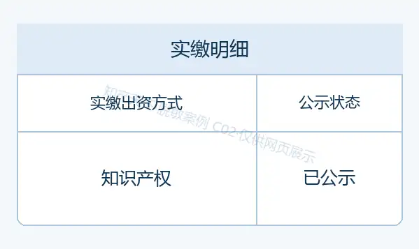 实缴信息公示网页专用预览