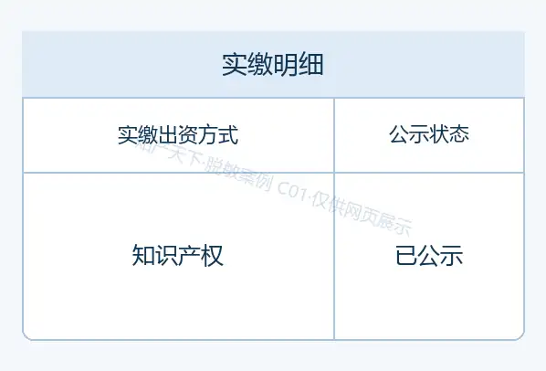 知识产权出资公示网页专用预览